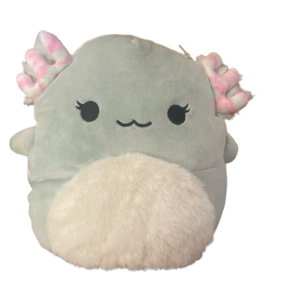 Squishmallows Other - BNWT Squishmalow Chasmen 7.5 Inch RARE/Sold Out​ in store and online.​​